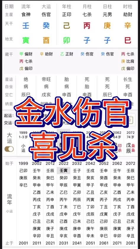 金水八字|八字金水格局 – 金水伤官格解析